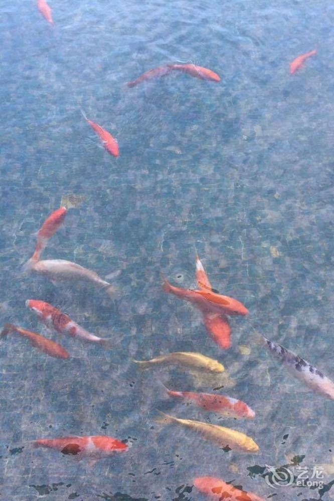 Bo'Ao Comfort Hotel Qionghai Luaran gambar
